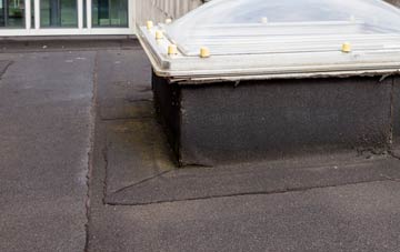 disadvantages of Exelby flat roofs