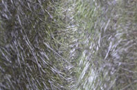 Exelby fibreglass roof work